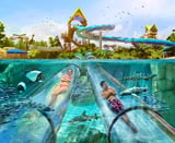 Aquatica