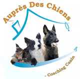 auprès des chiens