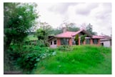 image of a house in the woods
