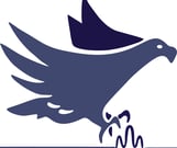 Falcon logo ( a falcon trying to catch a ripple instead of a mouse)