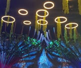 Tiger's Mark Corporation | Construction Supply, Equipment, Materials, Tools & Equipment