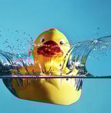 Rubber duck splash – unexpected ideas that disrupt predictable marketing.