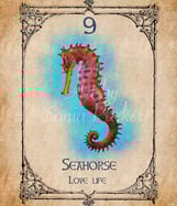 Seahorse card from the animal spirit oracle deck