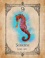 Seahorse card from the animal spirit oracle deck