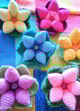 Bloemenschaaltjes in mooi heldere kleuren