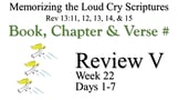 Review V (Days 1-7)
