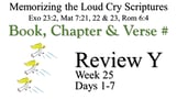Review Y (Days 1-7)