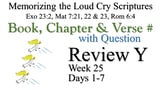 Review Y (Days 1-7) with Q