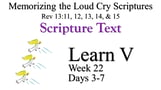 Learn V (Days 3-7)