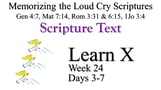 Learn X (Days 3-7)