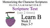 Learn B (Days 3-7)
