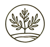 little olive logo