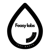 Feasy labs and testing logo