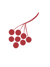 Жіночий форум Об'єднані Жінками logo