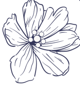 Edelweiss Press logo