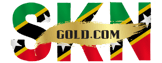 Skngold logo