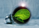 sustainable innovation, bulb with a leaf