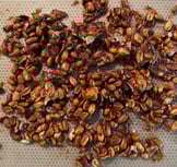 praliné cacahuètes