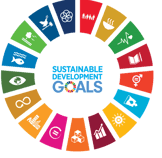 SDG_Wheel