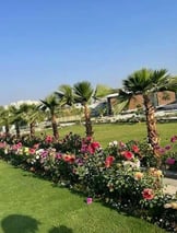 Urban green wall system promoting environmental sustainability