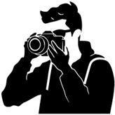 تصوير  المهدي logo