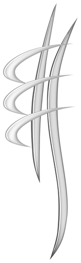 Alexandre Armengaud Chiropracteur logo