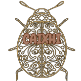 Caixhi logo