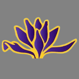 FARMÁCIA IRIS D'AGUA logo