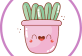 Buy some Container Plants