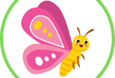 Raise your own Butterflies