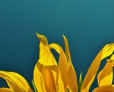 confiance gestion de trésorerie assistante administrative