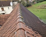 Gouttières obstruées et toiture sale
