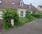 Pelouse jaunie et irrégulière