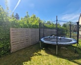 Haies non taillées et envahissantes