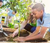 Educação para sustentabilidade - Sustence