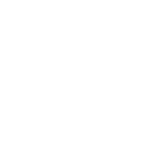 Logo of Linguages - Expert Language Services, the company name in white on elegant green background