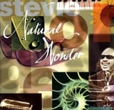 Stevie Wonder Natural Wonder album cover