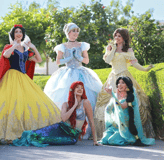 birthday party , princess elsa, princess sofia