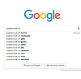 Definición y diferencias clave entre SEO y SEM