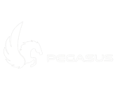 pegasus-data-analytics