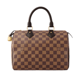 LV Speedy 25 Damier Ebene Women Handbag