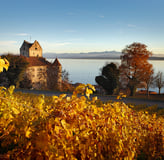 Meersburg - Burg am Bodensee mit goldenen Weinblättern im Vordergrund