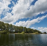 Moos am Bodensee - Bäume am Ufer unter blauem Himmel mit Wolken
