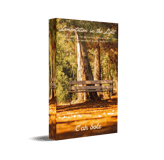 Lamentation in the Light ebook cover by C'ah Sole with shaded wooden bench in forest