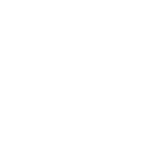 icon de magasin en ligne