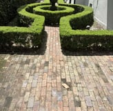 Before and After picture of a Backyard