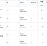 Google Ads results during August