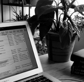 Office of Omnia Writing Services