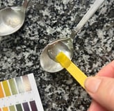 dipping a ph paper strip into brine on a spoon