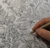 mano che disegna piante ad inchiostro
